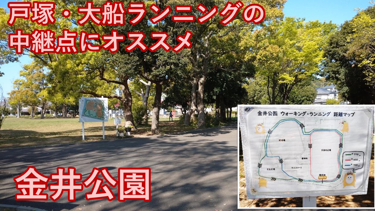 戸塚・大船ランニングオススメ中継スポット 金井公園を写真で解説！